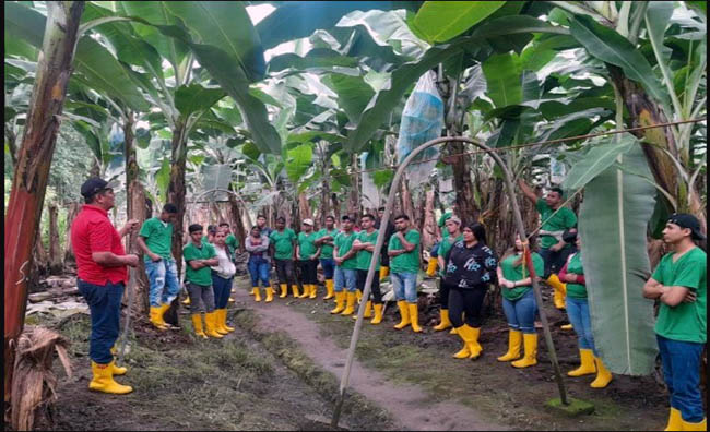 Reybanpac impulsa el empleo joven con la fundación Wong