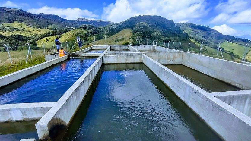 union-europea-invierte-716-mil-dolares-en-tulcan.ecuador221.com_.ec_ Unión Europea invierte 716 mil dólares en Tulcán