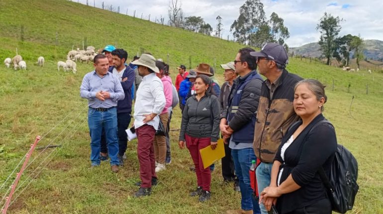 Asociación de Ovinocultores de Bolívar logra personería jurídica