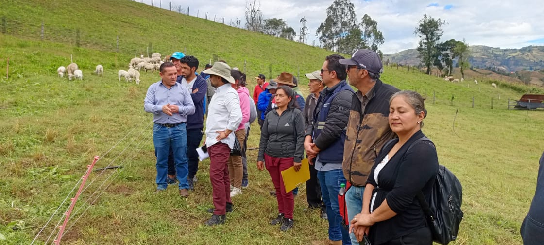 asociacion-de-ovinocultores-de-bolivar-logra-personeria-juridica.ecuador221.com_.ec_ Asociación de Ovinocultores de Bolívar logra personería jurídica