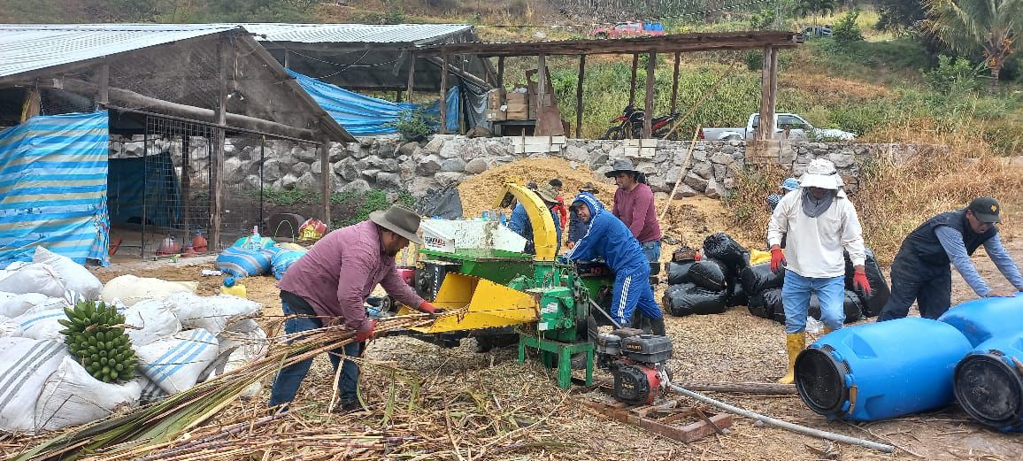 ecuador 221 azuay-fortalece-reserva-forrajera-para-posibles-sequias.ecuador221.com_.ec_ Azuay fortalece reserva forrajera para posibles sequías