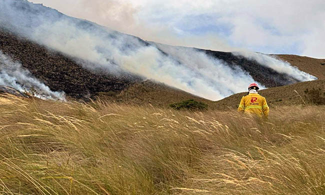 Cotacachi: Incendio forestal afecta 900 hectáreas de páramos de Piñán
