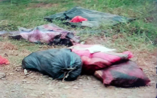 Hallan cinco sacos con restos humanos en Mocache