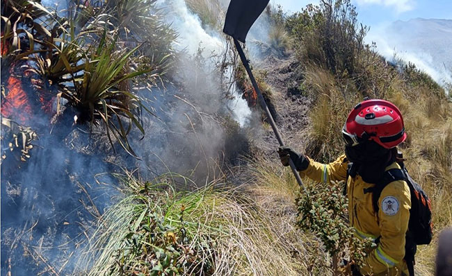 Las labores de control y liquidación del incendio forestal registrado en el Parque Nacional Cotacachi Cayapas continúan hoy miércoles.