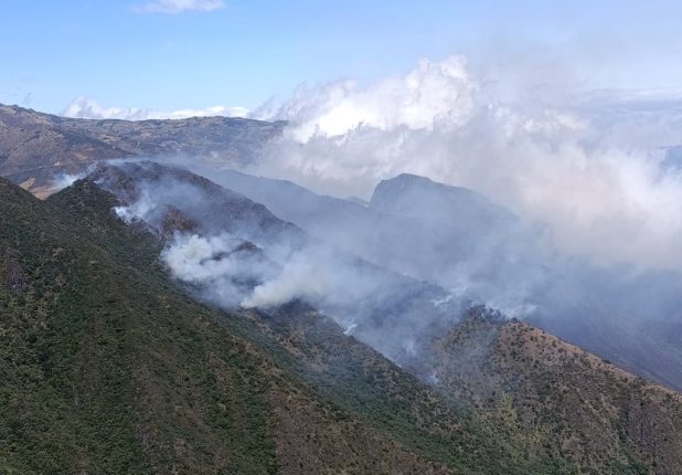 Incendio forestal consume 86 hectáreas de bosque en La Carbonería en Cañar