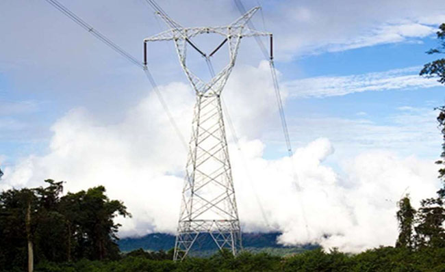 Ministra Inés Manzano asegura que el suministro eléctrico está garantizado