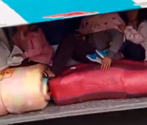 Niños viajaron en bodega de bus interprovincial; ANT sancionará