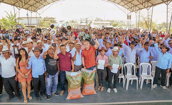 Prefectura entrega semillas certificadas de arroz en Salitre