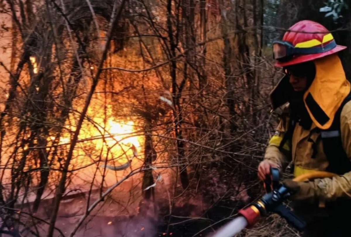 quito-sanciona-a-51-personas-por-quema-ilegales.ecuador221.com_.ec_ Quito sanciona a 51 personas por quemas ilegales