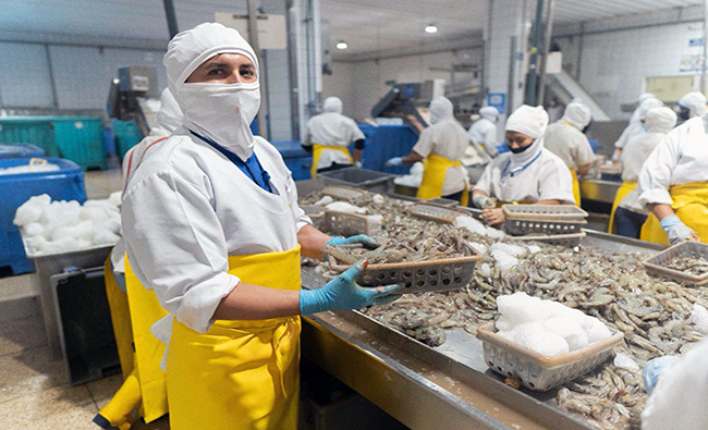 cordex-sugiere-negociar-protocolos-sanitarios-con-corea-del-sur-ecuador221.com_.ec_ Cordex sugiere negociar protocolos sanitarios con Corea del Sur