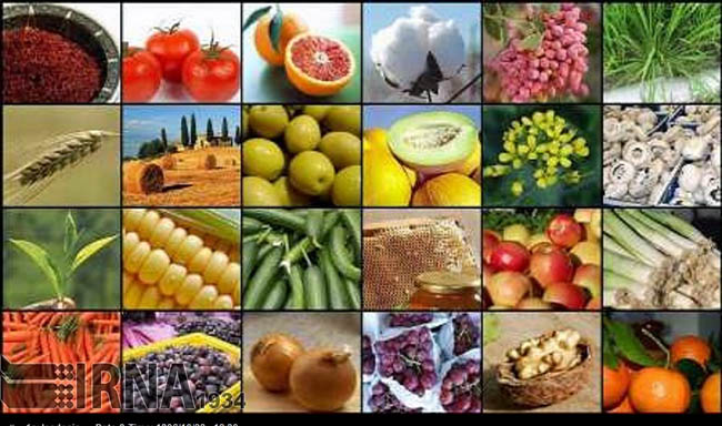 Crecen nuevos mercados para exportaciones no tradicionales