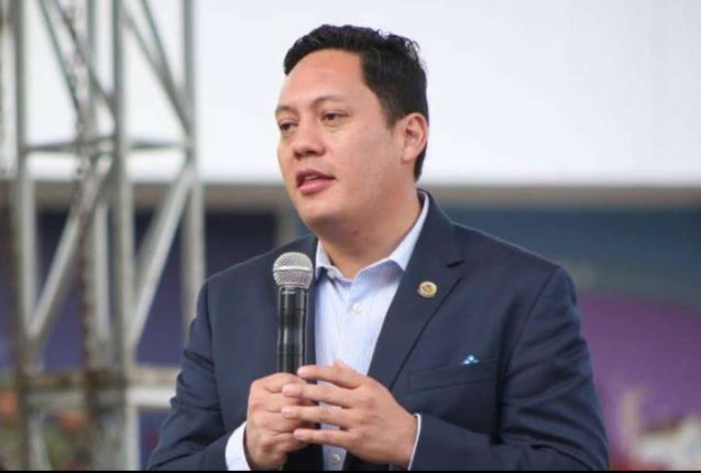 Cuenca recibe sentencia por tala ilegal de 63 árboles