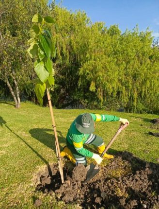 EMAC EP reforestó 630 árboles y presentó informes