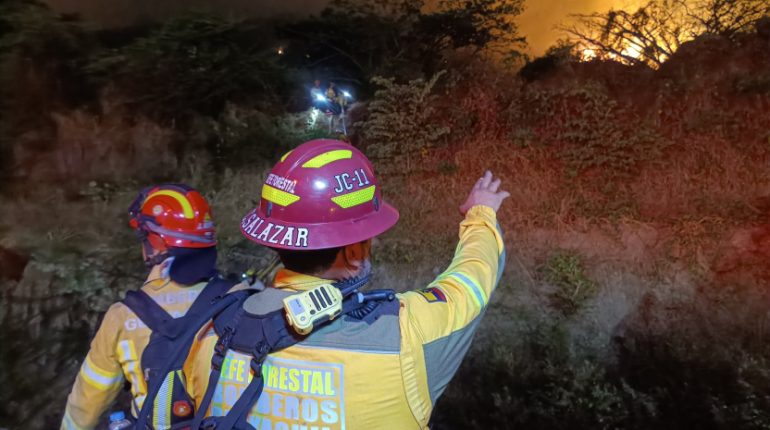 Incendio en Cerro Colorado arrasa bosque durante cuatro horas