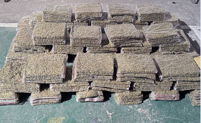 Policía incauta 110 kilos de marihuana en Esmeraldas