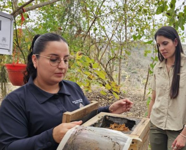 ecuador 221 ecuador-declara-mas-de-129-hectareas-como-nuevo-bosque-protector-en-manabi.ecuador221.com_.ec_ Ecuador declara más de 129 hectáreas como nuevo bosque protector