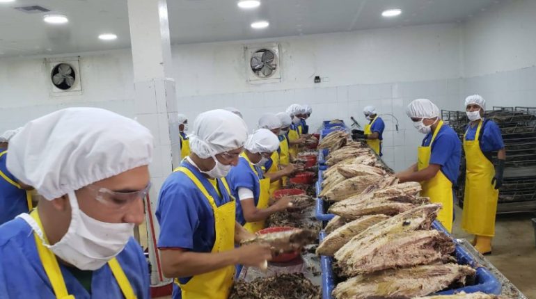 Ecuador inicia exportación masiva de atún hacia Emiratos Árabes