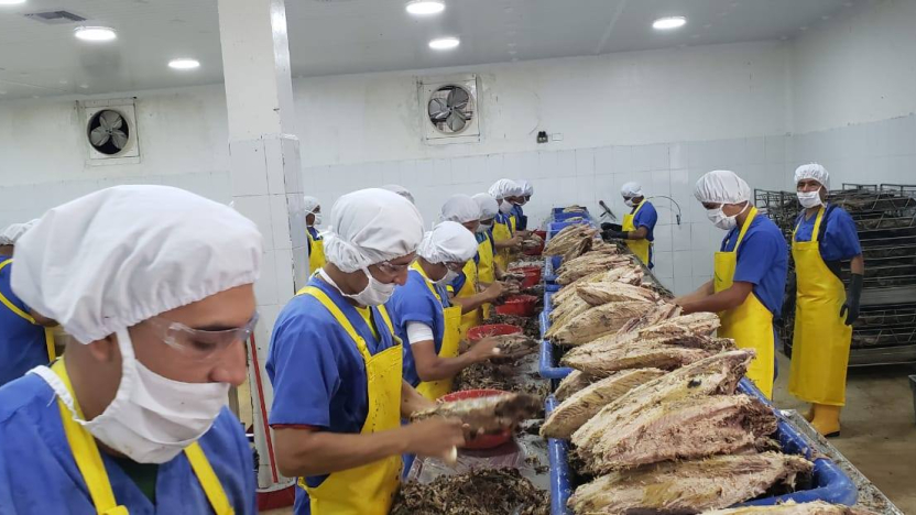 ecuador 221 ecuador-inicia-exportacin-masiva-de-atn-hacia-emiratos-arabes.ecuador221.com_.ec_ Ecuador inicia exportación masiva de atún hacia Emiratos Árabes