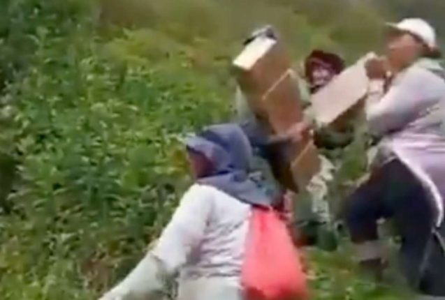 Floricultores caminan kilómetros para exportar sus flores