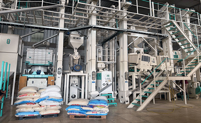 Gobierno implementa mecanismo para la compra directa de arroz