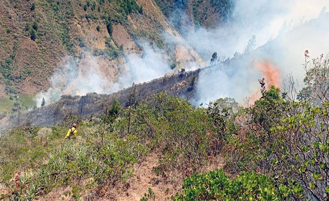 Incendio forestal consume 75 hectáreas de bosque en Espíndola