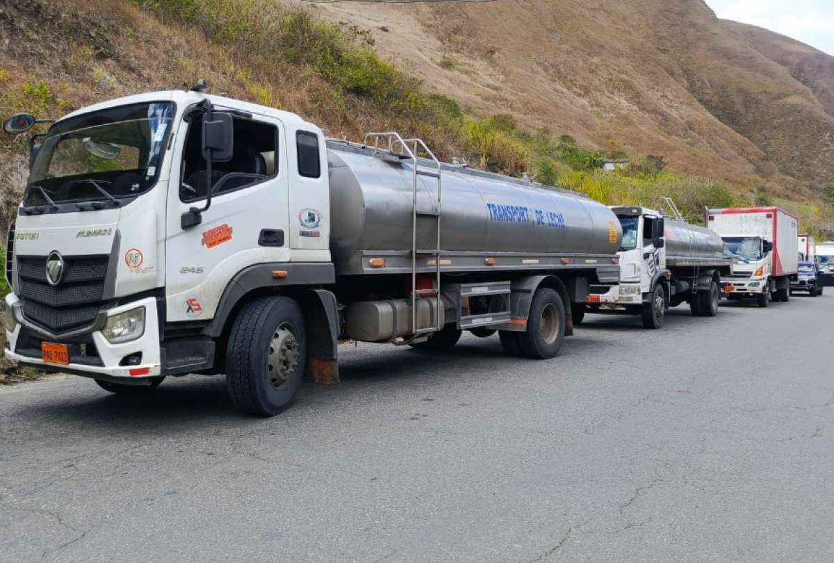 paro-sector-lechero-pichincha-carchi-perdidas.extorsion2025.ecuador221.com_.ec_ Paro provoca pérdidas millonarias y extorsión en sector lechero