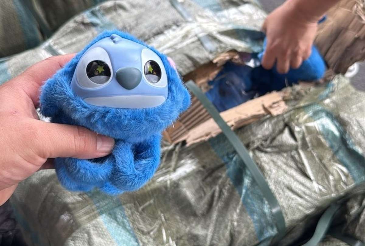 shein Aduanas descubre contrabando y falsificación en contenedor