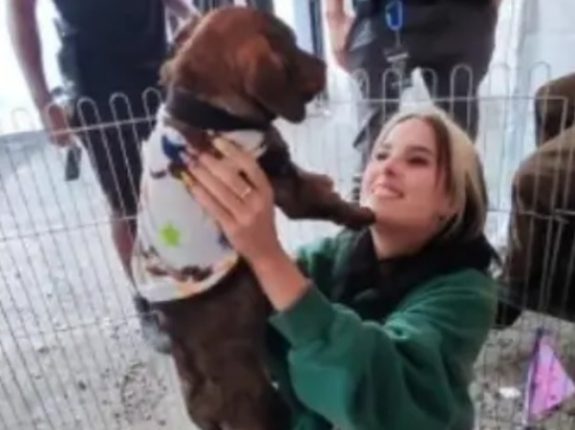 Bailarina de Shakira adopta perrito ecuatoriano y lo llama Quito