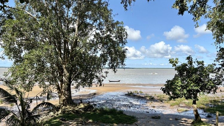 La selva tropical más grande del mundo —hogar de más especies de plantas y animales que cualquier otro lugar de la Tierra—