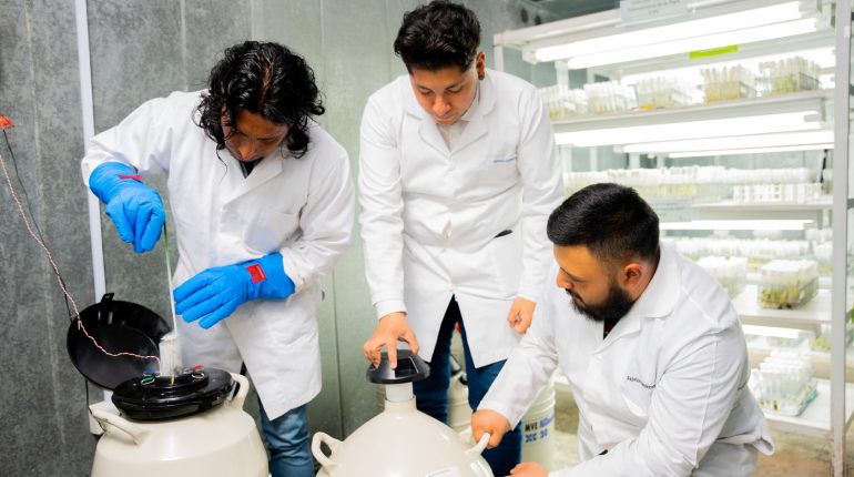 Ecuador fortalece su banco agrícola líder en Latinoamérica