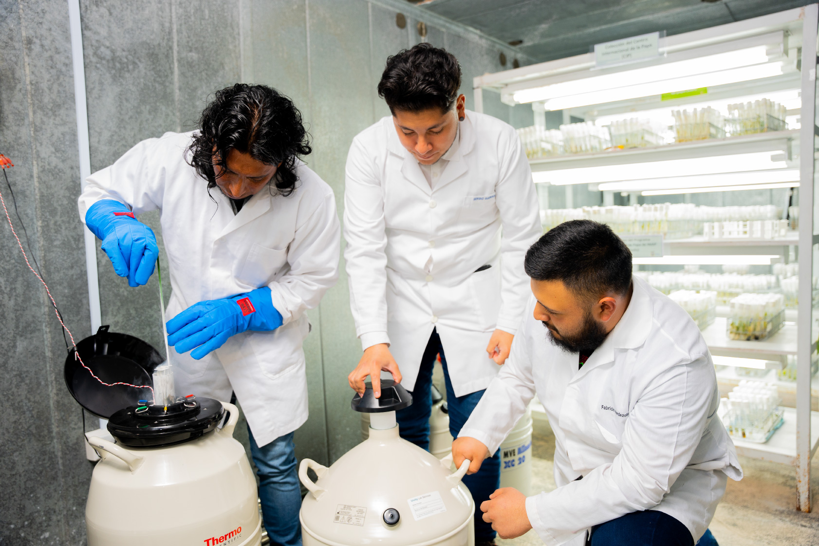 ecuador 221 ecuador-fortalece-su-banco-agrcola-lder-en-latinoamrica.ecuador221.com_.ec_ Ecuador fortalece su banco agrícola líder en Latinoamérica