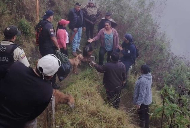 Encuentran con vida a Lucas Campaña en el cerro Puñay