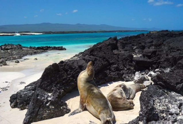 Gobierno aprueba nueva ruta aérea Cuenca hacia Galápagos