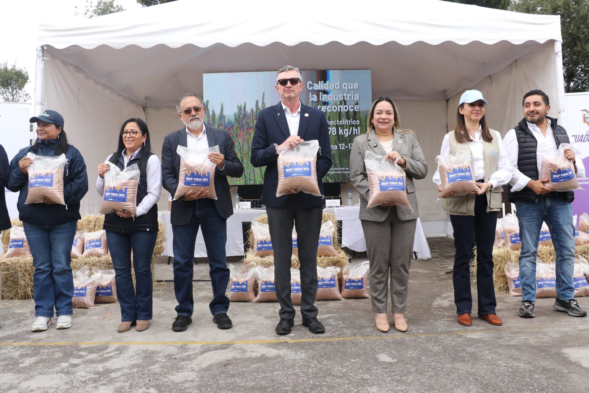 nueva-variedad-de-trigo-promete-elevar-la-produccion-nacional.ecuador221.com_.ec_ Nueva variedad de trigo promete elevar la producción nacional