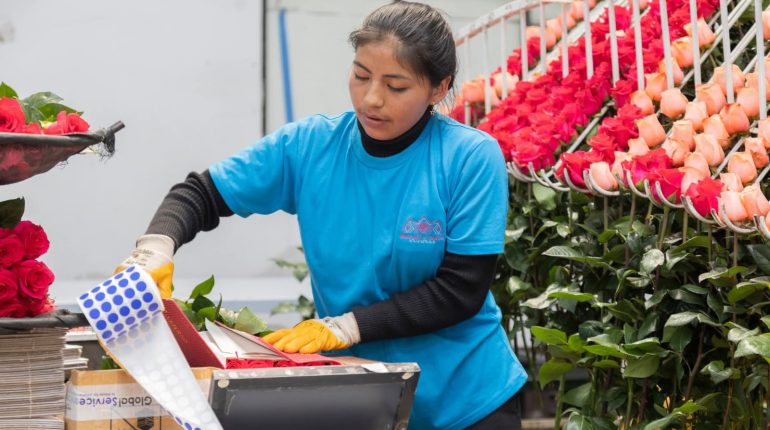 BanEcuador impulsa PYMES con USD 108,5 millones colocados