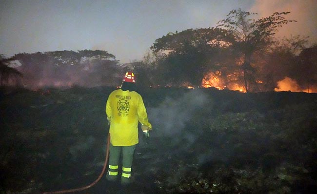 bomberos-liquidaron-incendio-forestal-en-guayaquil-ecuador221.com_.ec_ Bomberos liquidaron incendio forestal en Guayaquil