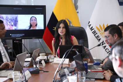 constitucionalista-pide-revisar-plazo-para-acciones-de-proteccion.ecuador221.com_.ec_ Constitucionalista pide revisar plazo para acciones de protección