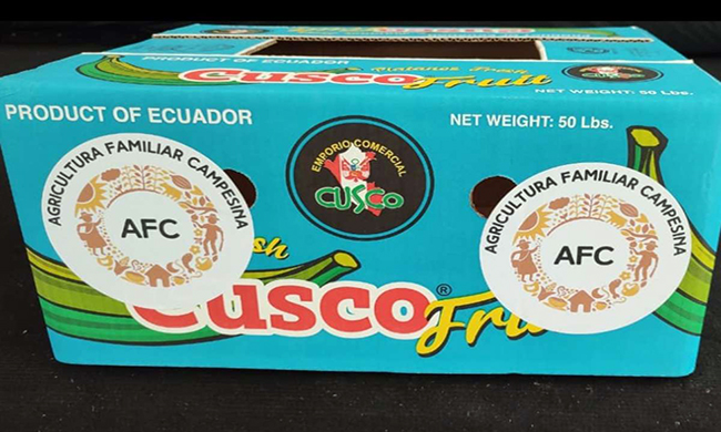 ecuador 221 ecuador-exporto-platanos-con-sello-afc-a-chile-ecuador221.com_.ec_ Ecuador exportó plátanos con sello AFC a Chile