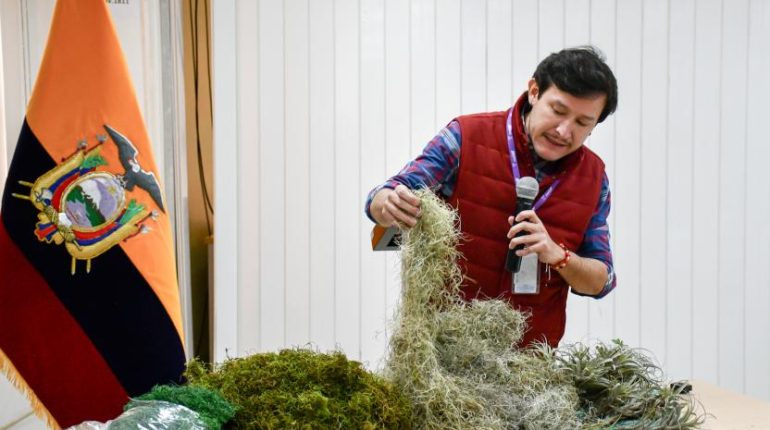 Ecuador refuerza controles por extracción ilegal de musgo