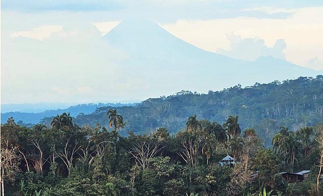 El IVA baja al 8% durante el feriado de Año Nuevo