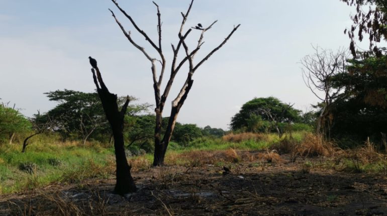 Guayaquil cancela expropiaciones para el Malecón 3000