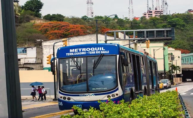 guayaquil-la-metrovia-sera-gratuita-el-1-de-enero-ecuador221.com_.ec_ Guayaquil: la Metrovía será gratuita el 1 de enero