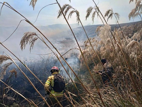 Incendio forestal en el Parque Nacional Cayambe