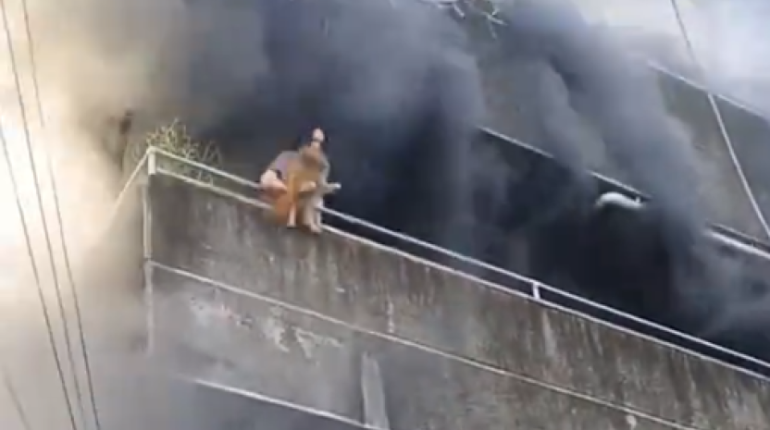 Mujer arriesga su vida para rescatar a sus mascotas en incendio