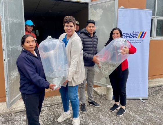 Productores de Sigchos reciben 5.000 alevines de trucha