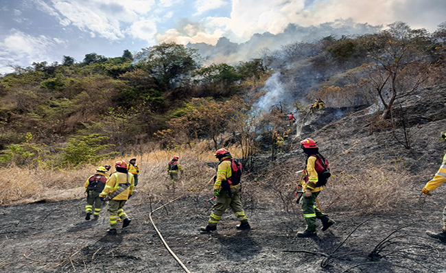 Bomberos controlan incendio forestal en San Eduardo