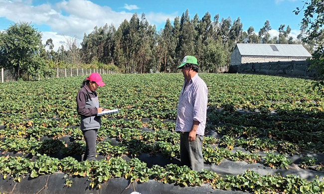 Censo nacional agropecuario
