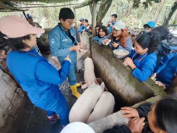 MAGP impulsa sanidad porcina junto a academia