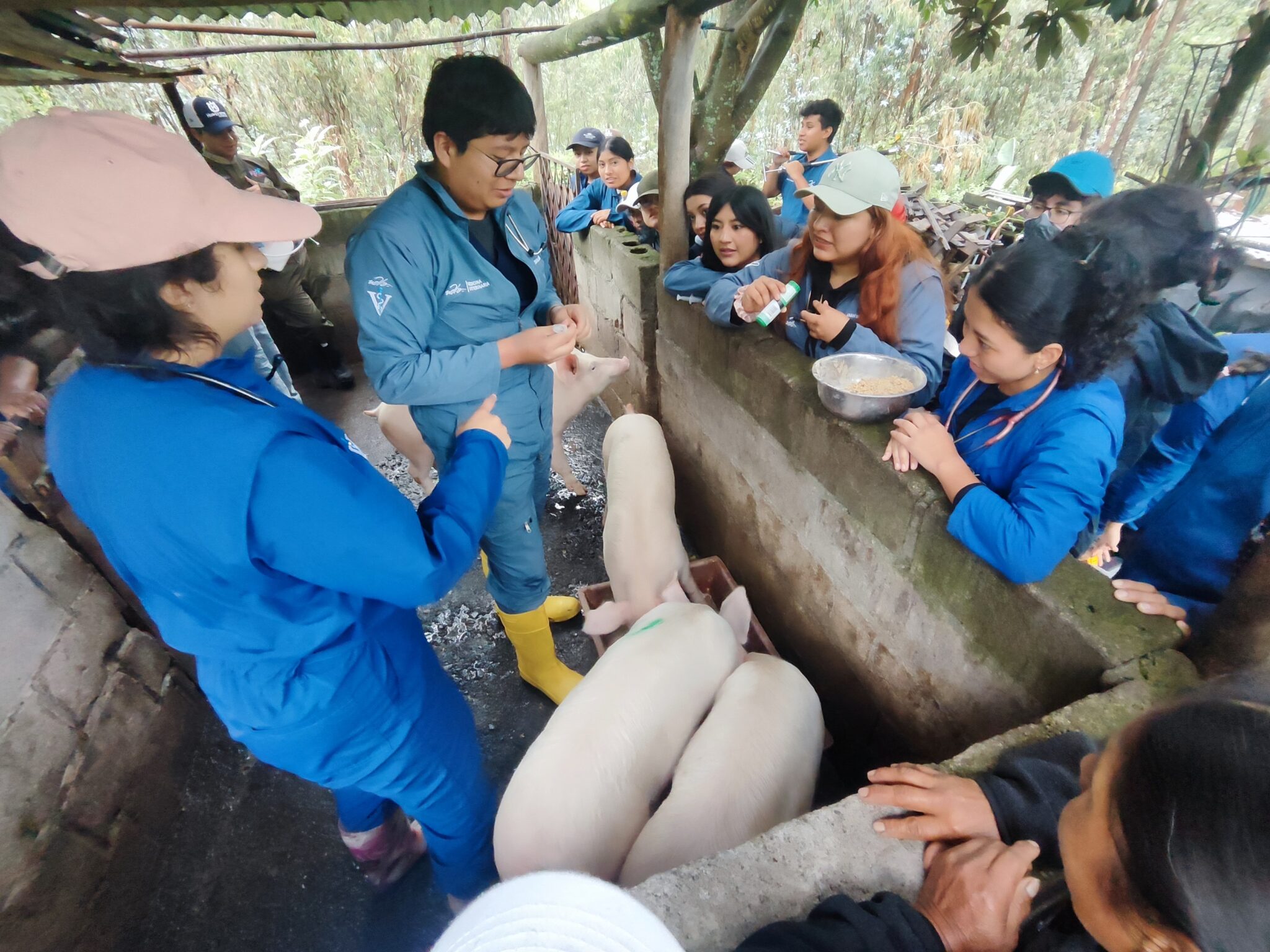 ecuador 221 magp-impulsa-sanidad-porcina-junto-a-academia.ecuador221.com_.ec_ MAGP impulsa sanidad porcina junto a academia