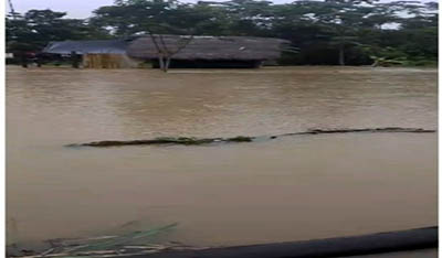 Napo: Desbordamiento del río Gareno afecta viviendas de comunidad waorani